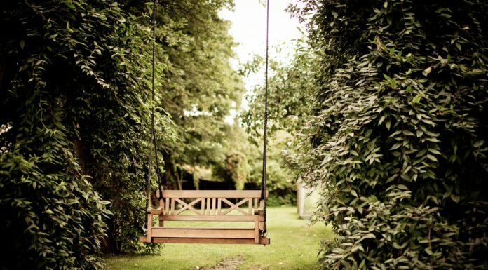 Kalenderen siger haveindretning haveindretning