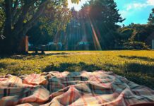 Sjove udendørsaktiviteter for hele familien