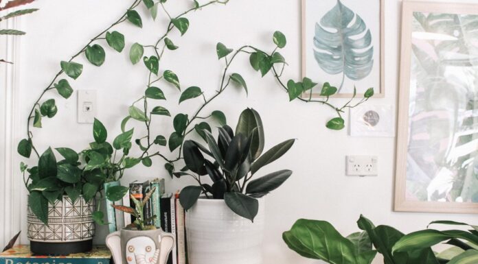 Brug planter i indretningen